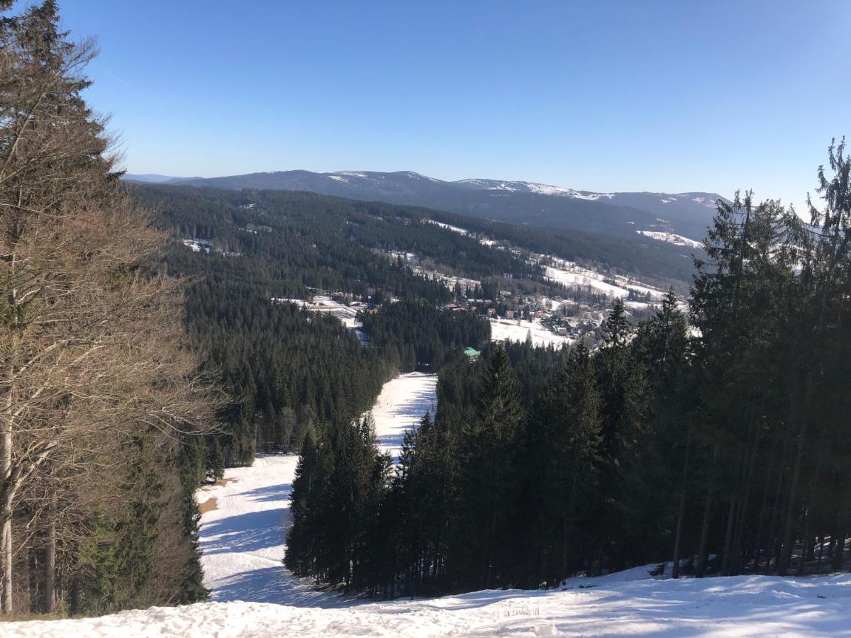 Javor - Rezidence & Wellness Železná Ruda